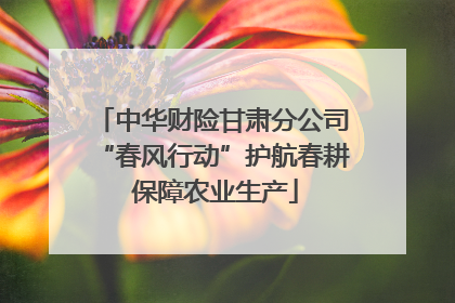 中华财险甘肃分公司“春风行动”护航春耕 保障农业生产