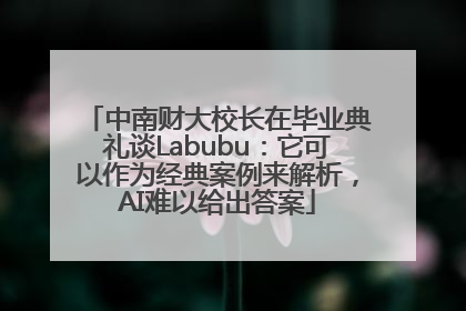 中南财大校长在毕业典礼谈Labubu：它可以作为经典案例来解析，AI难以给出答案