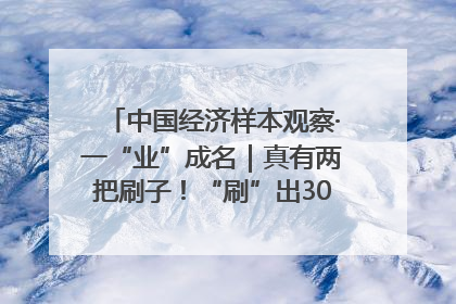 中国经济样本观察·一“业”成名｜真有两把刷子！“刷”出30亿级“颜值经济”
