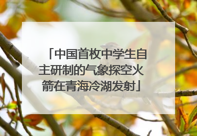 中国首枚中学生自主研制的气象探空火箭在青海冷湖发射