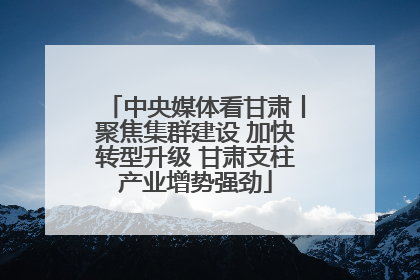 中央媒体看甘肃丨聚焦集群建设 加快转型升级 甘肃支柱产业增势强劲