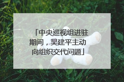 中央巡视组进驻期间，吴建平主动向组织交代问题