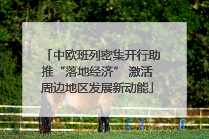 中欧班列密集开行助推“落地经济” 激活周边地区发展新动能