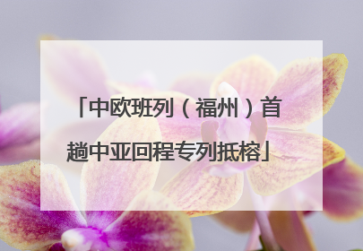 中欧班列（福州）首趟中亚回程专列抵榕