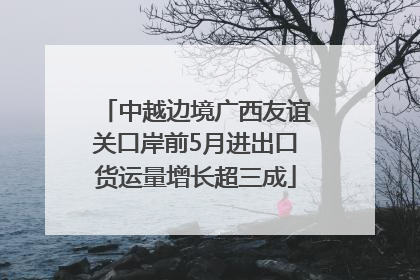 中越边境广西友谊关口岸前5月进出口货运量增长超三成