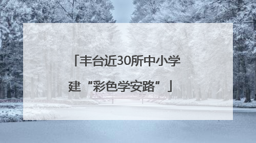 丰台近30所中小学建“彩色学安路”
