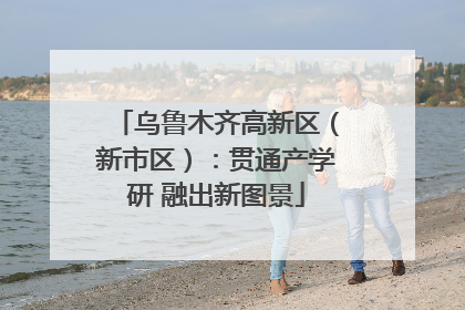 乌鲁木齐高新区（新市区）：贯通产学研 融出新图景
