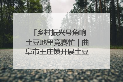 乡村振兴号角响 土豆地里竞赛忙｜曲阜市王庄镇开展土豆收获劳动竞赛