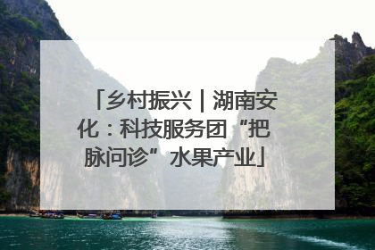 乡村振兴｜湖南安化：科技服务团“把脉问诊”水果产业