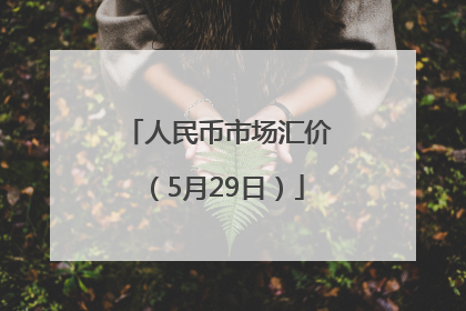 人民币市场汇价（5月29日）