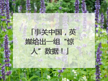 事关中国，英媒给出一组“惊人”数据！