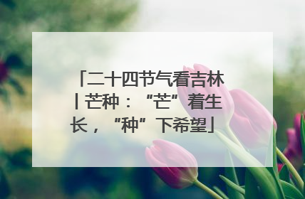 二十四节气看吉林丨芒种：“芒”着生长，“种”下希望