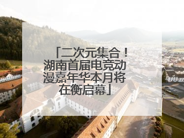 二次元集合！湖南首届电竞动漫嘉年华本月将在衡启幕