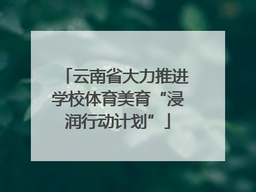 云南省大力推进学校体育美育“浸润行动计划”