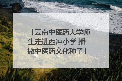 云南中医药大学师生走进西冲小学 播撒中医药文化种子