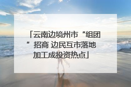 云南边境州市“组团”招商 边民互市落地加工成投资热点