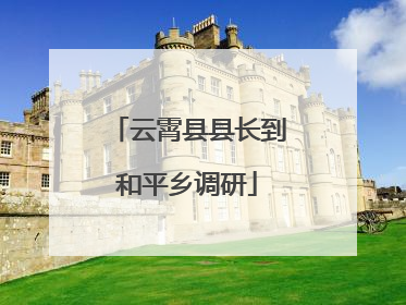 云霄县县长到和平乡调研