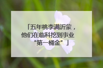 五年桃李满沂蒙，他们在临科挖到事业“第一桶金”