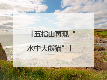 五指山再现“水中大熊猫”