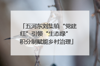五河东刘集镇“党建红”引领“生态绿” 积分制赋能乡村治理