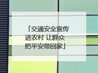 交通安全宣传进农村 让群众把平安带回家