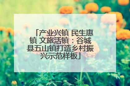 产业兴镇 民生惠镇 文旅活镇：谷城县五山镇打造乡村振兴示范样板