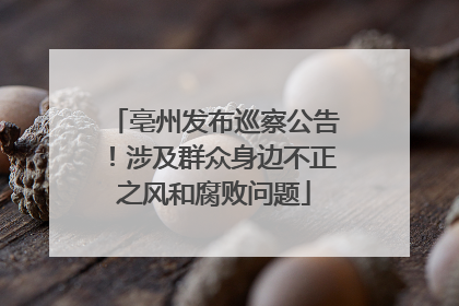 亳州发布巡察公告！涉及群众身边不正之风和腐败问题