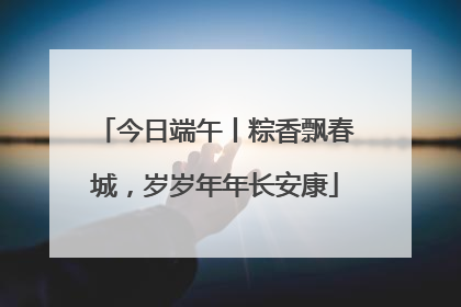 今日端午丨粽香飘春城，岁岁年年长安康