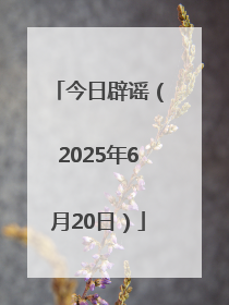 今日辟谣（2025年6月20日）