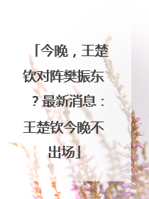 今晚，王楚钦对阵樊振东？最新消息：王楚钦今晚不出场