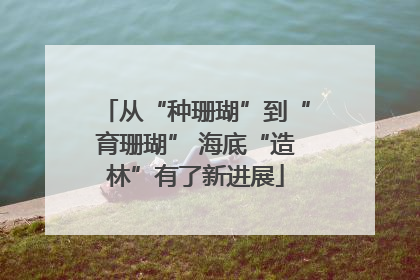 从“种珊瑚”到“育珊瑚” 海底“造林”有了新进展