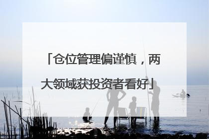 仓位管理偏谨慎，两大领域获投资者看好