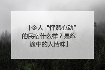 令人“怦然心动”的民宿什么样？是旅途中的人情味