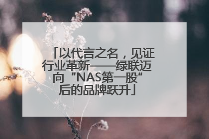 以代言之名，见证行业革新——绿联迈向“NAS第一股”后的品牌跃升