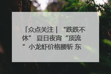 众点关注｜“跌跌不休” 夏日夜宵“顶流”小龙虾价格腰斩 东营人的快乐来了