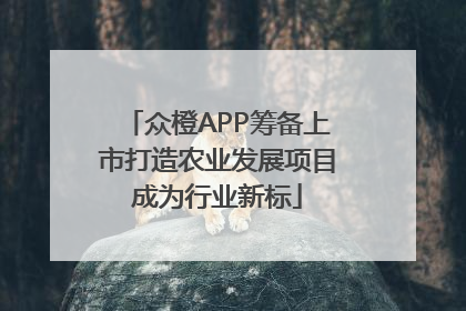 众橙APP筹备上市打造农业发展项目成为行业新标