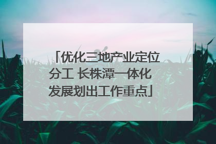 优化三地产业定位分工 长株潭一体化发展划出工作重点