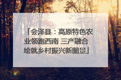 会泽县：高原特色农业领跑西南 三产融合绘就乡村振兴新图景