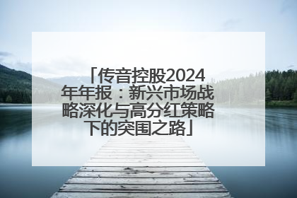 传音控股2024年年报：新兴市场战略深化与高分红策略下的突围之路