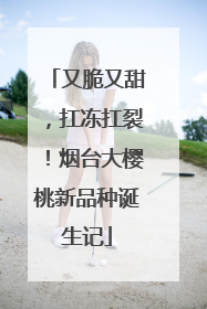 又脆又甜，扛冻扛裂！烟台大樱桃新品种诞生记