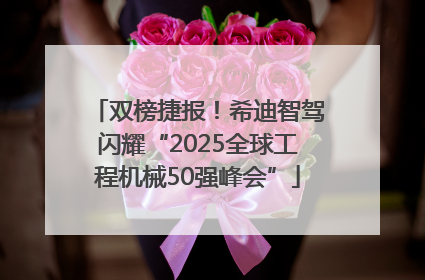 双榜捷报！希迪智驾闪耀“2025全球工程机械50强峰会”