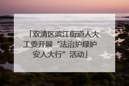 双清区滨江街道人大工委开展“法治护绿护安人大行”活动