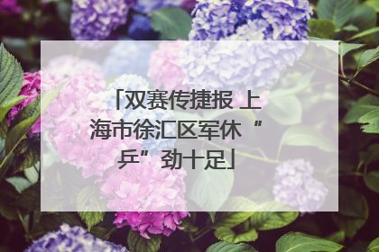 双赛传捷报 上海市徐汇区军休“乒”劲十足