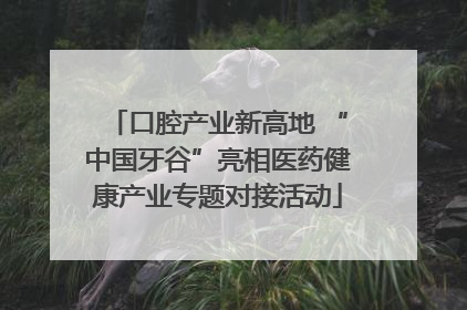 口腔产业新高地 “中国牙谷”亮相医药健康产业专题对接活动