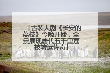 古装大剧《长安的荔枝》今晚开播，全景展现唐代五千里荔枝转运传奇