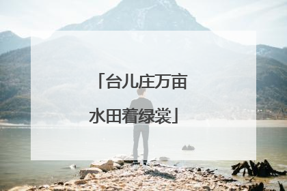 台儿庄万亩水田着绿裳
