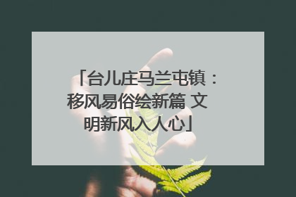 台儿庄马兰屯镇：移风易俗绘新篇 文明新风入人心