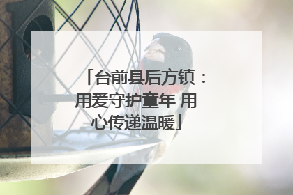 台前县后方镇：用爱守护童年 用心传递温暖