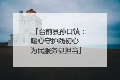 台前县孙口镇：暖心守护践初心 为民服务显担当