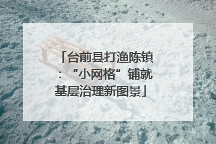 台前县打渔陈镇：“小网格”铺就基层治理新图景